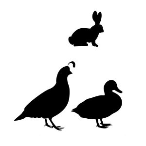 Turkey, duck, rabbit and quail black icons.